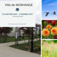 La nature agit, l'homme fait - Semaine 8